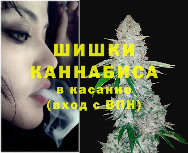 дживик Арсеньев