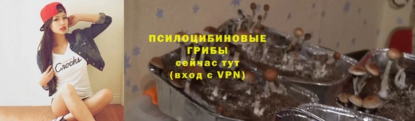 ешки Покачи