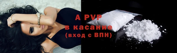 дживик Арсеньев