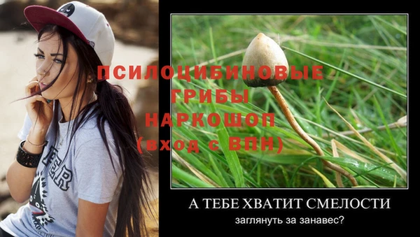 дживик Арсеньев